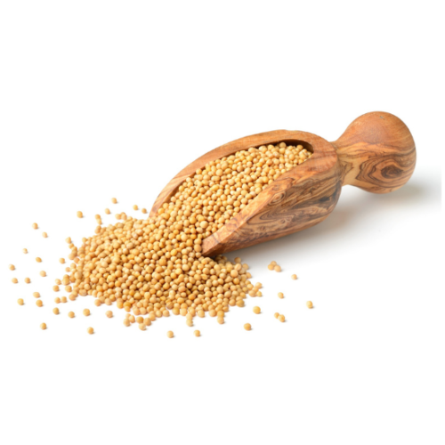 Yellow Mustard Seeds